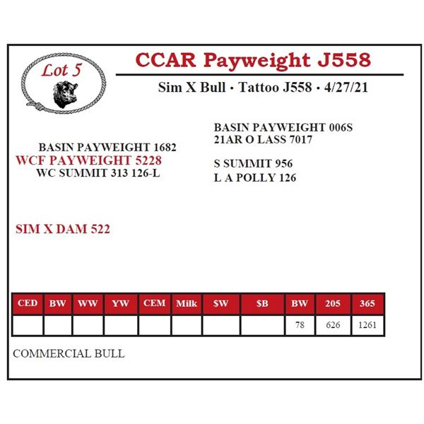 CCAR Payweight J558