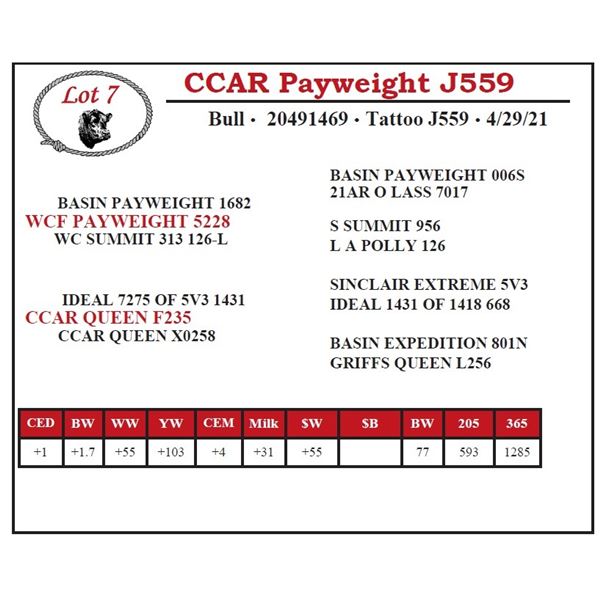 CCAR Payweight J559