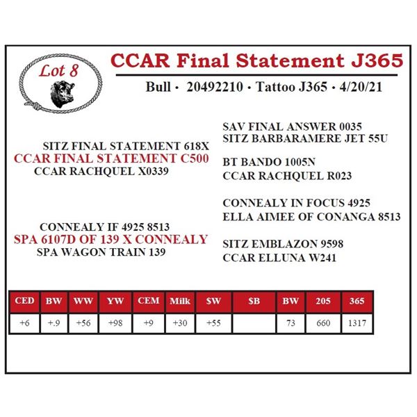 CCAR Final Statement J365
