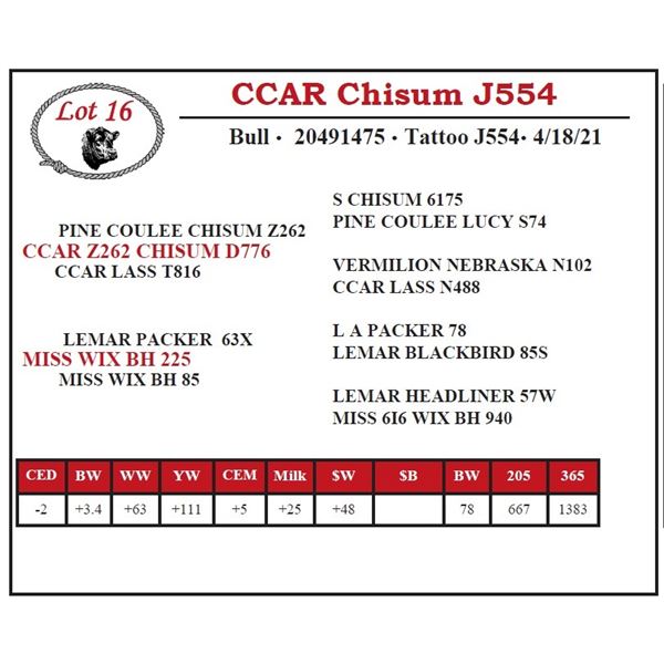 CCAR Chisum J554