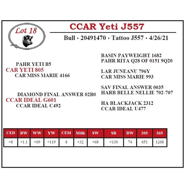 CCAR Yeti J557