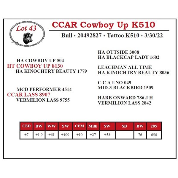 CCAR Cowboy Up K510