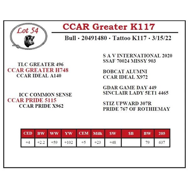 CCAR Greater K117