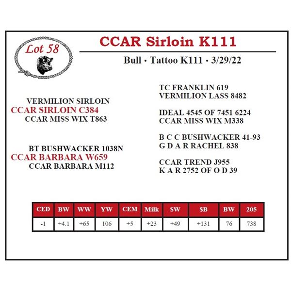 CCAR Sirloin K111