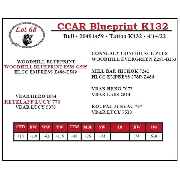 CCAR Blueprint K132