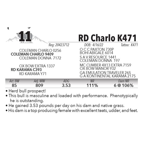 RD Charlo K471