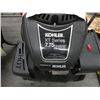 Image 2 : pressure washer motor