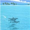 Image 2 : Dolphin Trio by Mackin, Dan