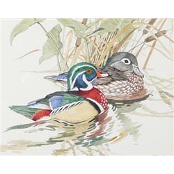 Linda K. Powell, Illustration