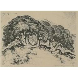 Coy A. Seward, Lithograph