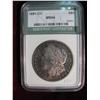 Image 1 : 2878. 1891 CC Morgan Type Silver Dollar NTC MS64