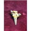 Image 2 : 3115. Shark Tooth Pendant. 