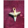Image 1 : 3117. Shark Tooth Pendant. 