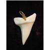 Image 1 : 3118. Shark Tooth Pendant. 