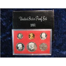 3213. 1981 US Proof Set. Original as Issued.