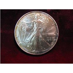 3361. 1993 American Eagle Silver Dollar. Toned BU.