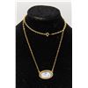 Image 1 : GOLD FILL WEDGWOOD PENDANT & CHAIN