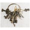 Image 1 : LOT OF ANTIQUE SKELTON KEYS