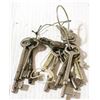 Image 1 : LOT OF ANTIQUE SKELTON KEYS