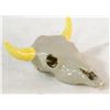 Image 1 : VINTAGE CERAMIC BISON SKULL ORNAMENT