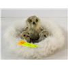 Image 1 : INUIT SEAL PELT OWL SCULPTURES