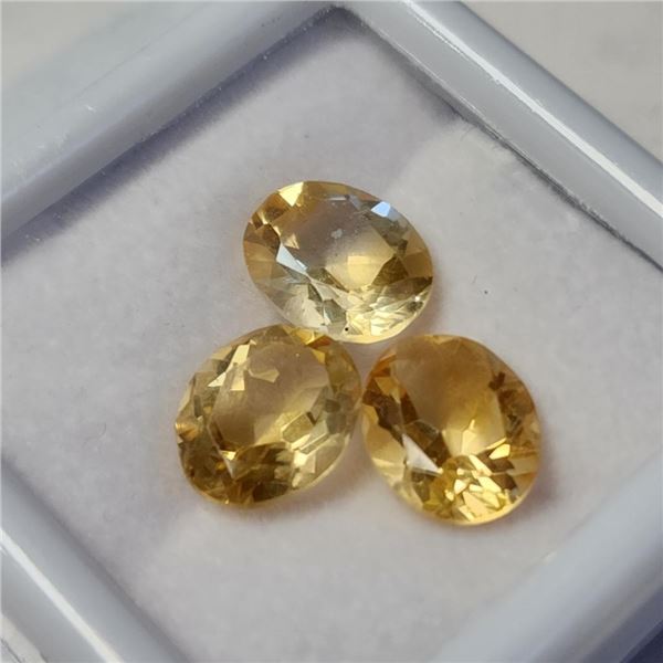 Citrine(9ct) (~length inches), Suggested Retail Value $200