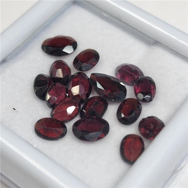 Garnet(10ct) , Suggested Retail Value $200