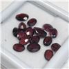 Image 1 : Garnet(10ct) , Suggested Retail Value $200