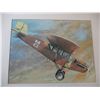 Image 2 : Curtiss Robin 1929 picture - 16.5x14.5