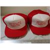 Image 2 : Lot of 10 trucker hats - New Holland Humboldt, SK