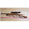 Image 1 : Ruger 10/22 Semi Auto with Tasco 3-9X32 scope, sling and magazine  Ser # 231-05791  PAL required