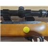 Image 2 : Ruger 10/22 Semi Auto with Tasco 3-9X32 scope, sling and magazine  Ser # 231-05791  PAL required