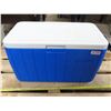 Image 1 : 1 large cooler + 3 ice packs