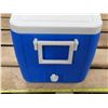Image 2 : 1 large cooler + 3 ice packs