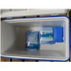Image 3 : 1 large cooler + 3 ice packs