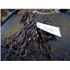 Image 1 : 24 Snares