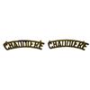Image 2 : WW2 Le Regiment De La Chaudiere Badge Set