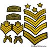 Image 1 : Lot of RCMP Insignia