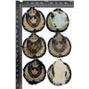 Image 2 : Lot of 6 The Canadian Airforce Patches
