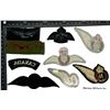 Image 2 : Lot of RCAF Cloth Wings & insignia