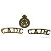 Image 1 : WW2era, CADC, Canadian Army Dental Corps Badge Lot