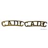 Image 3 : WW2era, CADC, Canadian Army Dental Corps Badge Lot