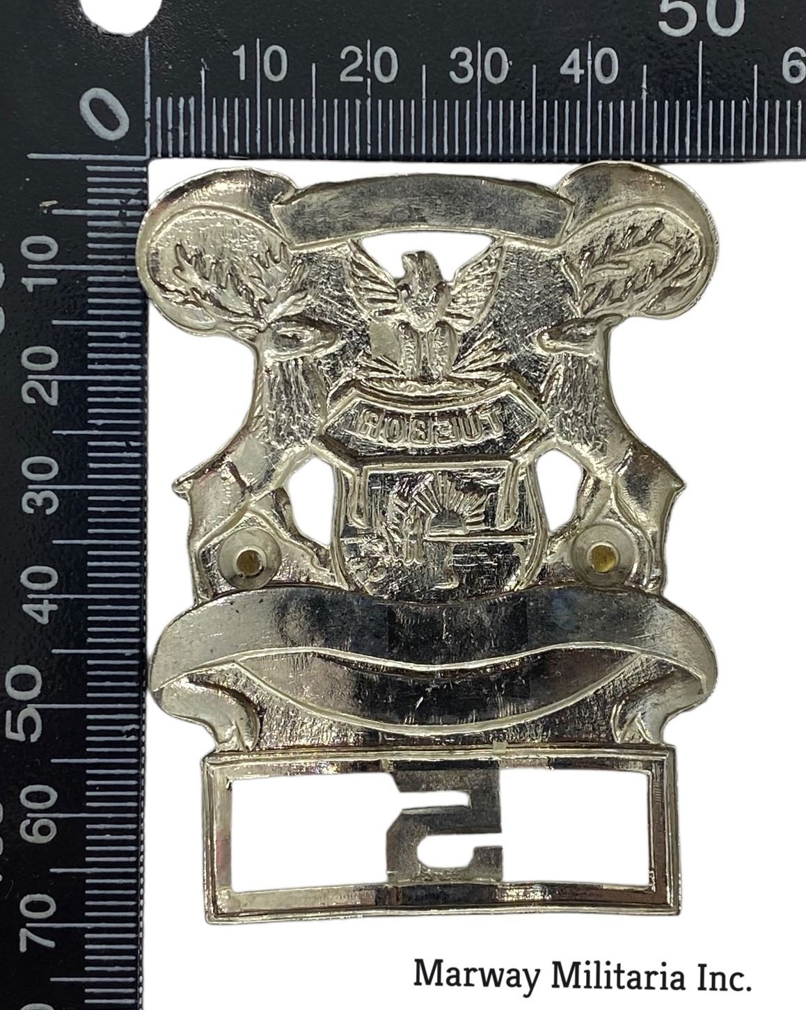 USA ST Clair Michigan Police Badge