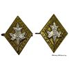 Image 2 : WW2 CWAC Badge Lot