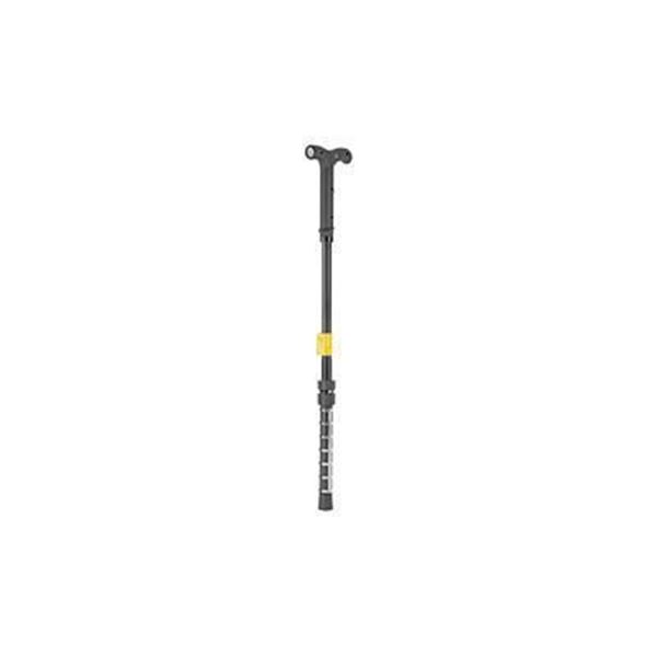 PS ZAP CANE 1 000 000 VOLTS W/CASE