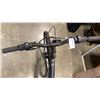 Image 8 : DARK GREY NEXT BIKE
