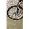 Image 3 : BLACK AND GREEN PROFLEX BIKE