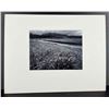 Image 2 : Ansel Adams, Rain, Beartrack Cove, Alaska, Authenticated