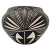 Image 1 : Native American Acoma Hand Painted Pot, Signed