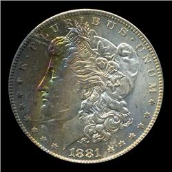 1881O Morgan Dollar Choice BU Great Toning (COI-4526)